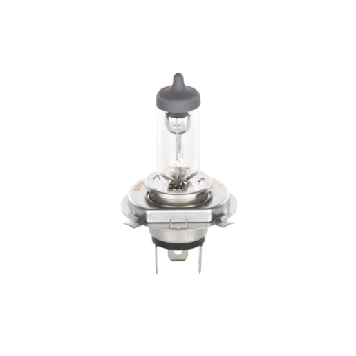 GLOBE | Globes/Holders | Electrical | Goldwagen